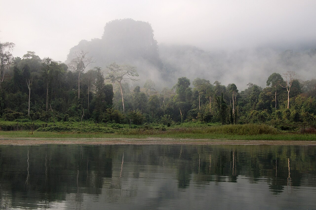 Cheow Lan Lake, Rainforest, Khao Sok, Thailand