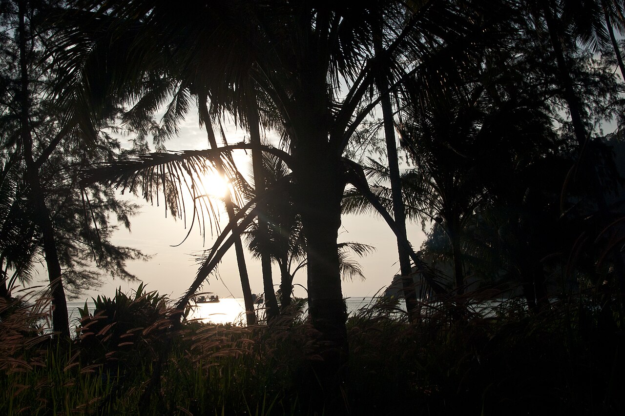 Koh Kut, Thailand, Palms on the beach before sunset