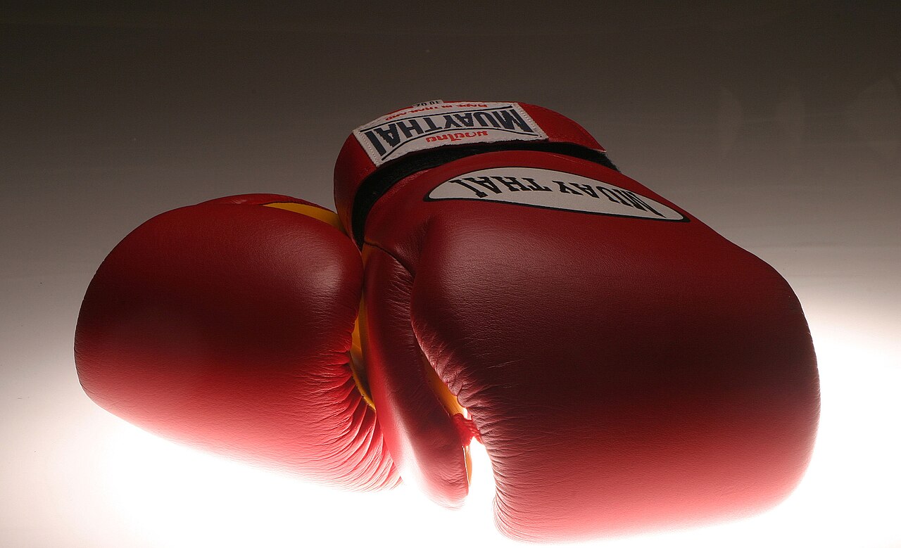 Muay Thai gloves