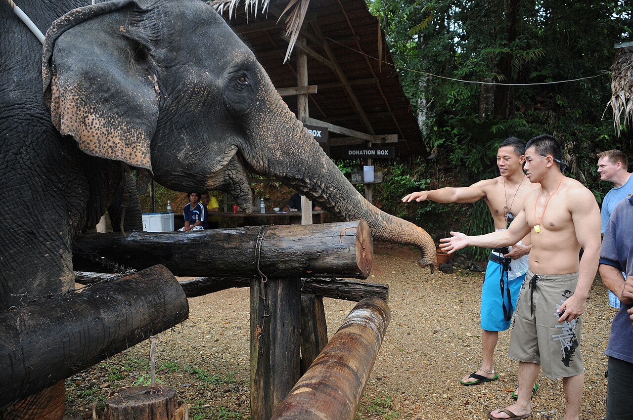 Visiting Thailand DVIDS206986