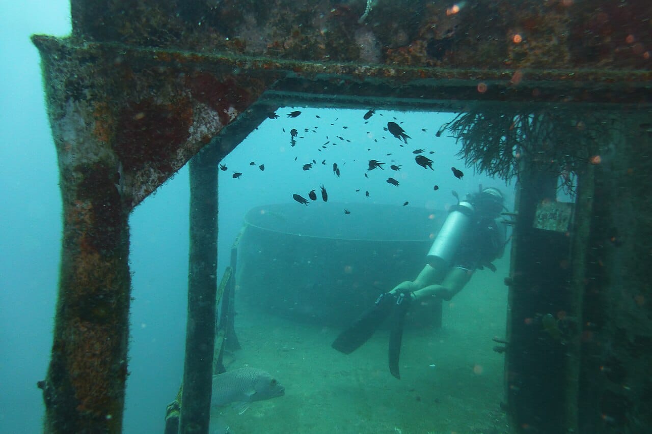 Diving Ko Tao, Thailand 1143