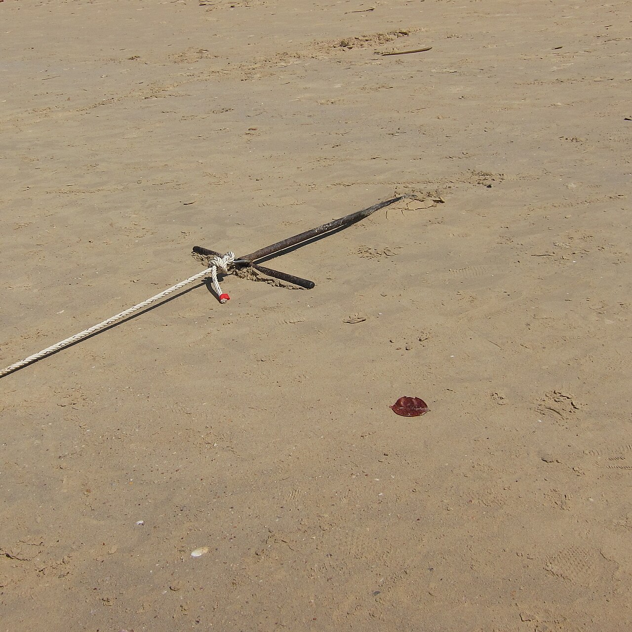 This is how the longtails were moored at the beach (12359610135)
